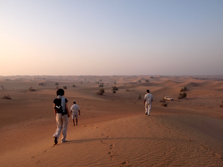 砂漠の自然散策