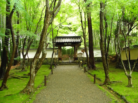 竹の寺地蔵院