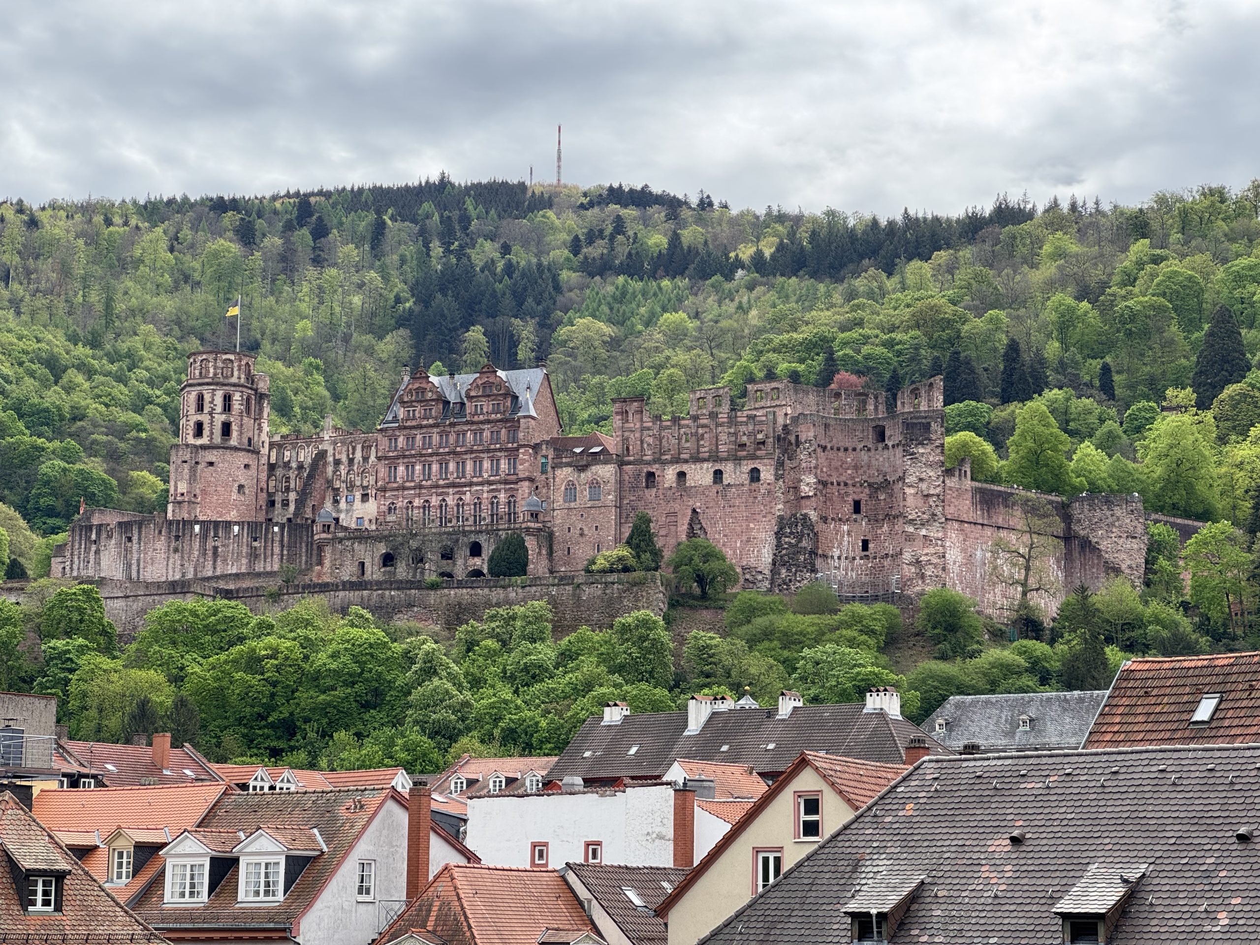 ハイデルベルク